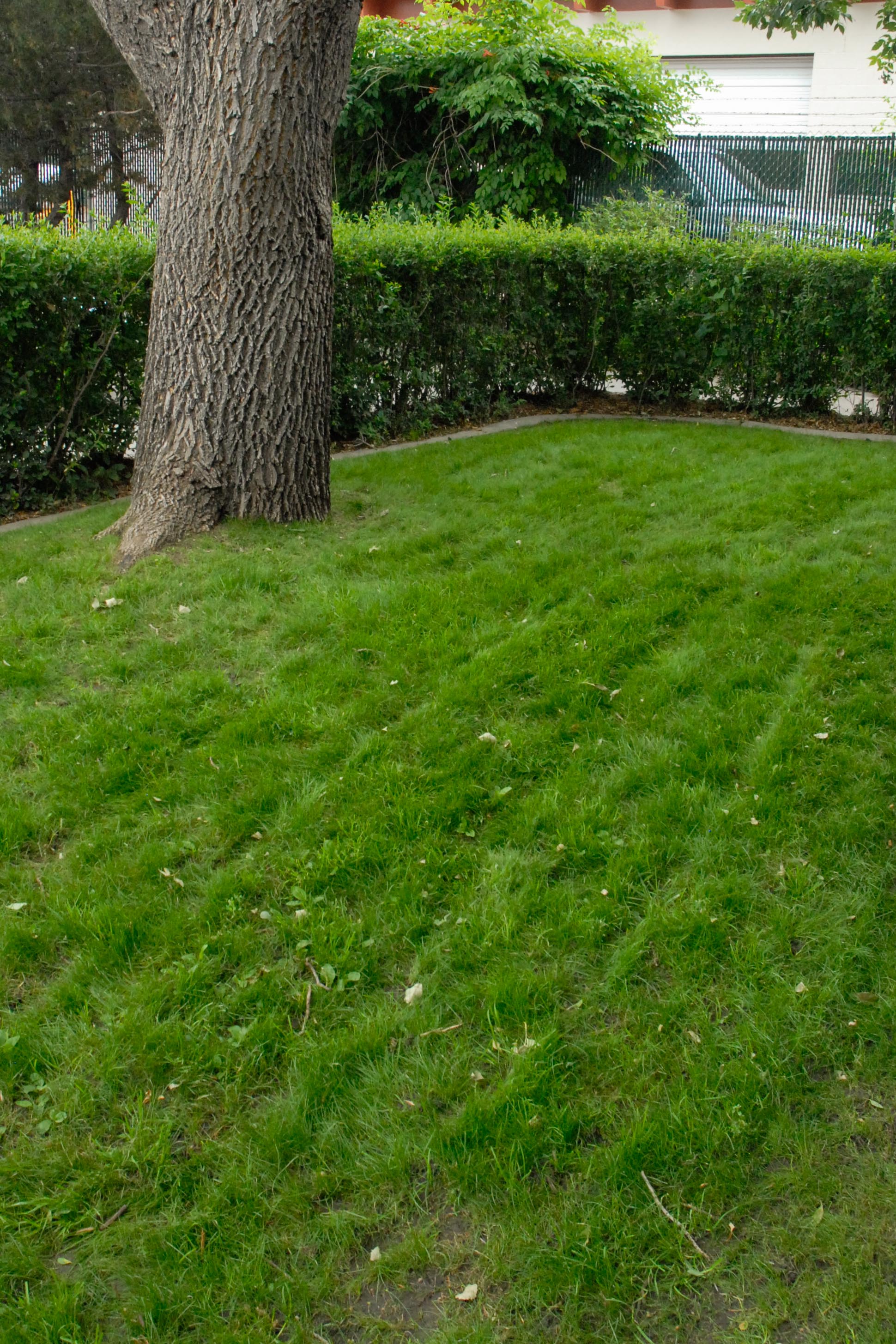 Parks and Rec Renovation